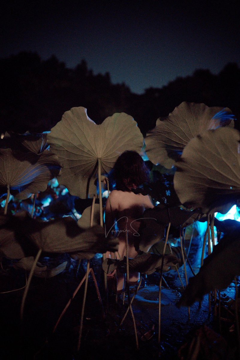 福利姬暴躁刺猬_分享的黄推图片2 - 网红私拍内容