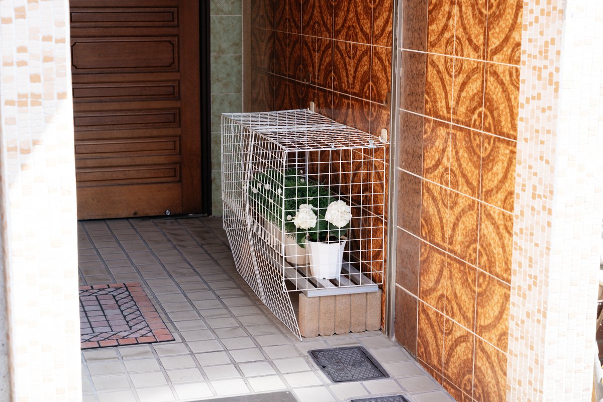 Yusuke Saitoh (@site_oh) on Twitter photo 