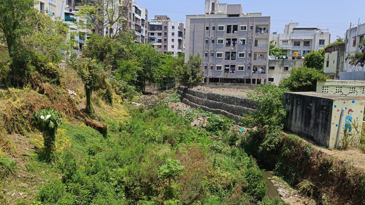 आणि असा होतोय नालेसफाईत दरवर्षी करोडोंचा घोटाळा!

दरवर्षी पावसाळा सुरू होण्याच्या अगोदर ओढे नाले साफ करण्याचे करोडो रुपयांचे टेंडर निघते. काम करणारे बहुतांश ठेकेदार ठरलेले असतात आणि काम करण्याची पद्धतही ठरलेली असते.

सिंहगड रस्त्यावरील किरकटवाडी येथे काही दिवसांपूर्वी तथाकथित