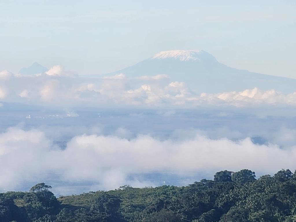 AbdikadirMohami's tweet photo. Majestic Kilimanjaro from the Ngong hills ( Nairobi) this morning.

@RAbdiAnalyst https://t.co/dC5b9y0aom