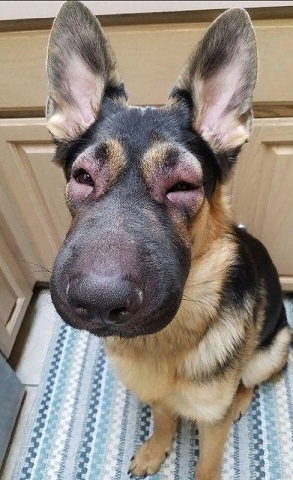 My boy what happened to you!!!

Hmmph I got rugged

@Selor <a href="/realdogen/">Dōgen</a> <a href="/Mikulxbt/">Mikul</a> <a href="/geniixzy/">geni</a> <a href="/Darky1k/">Darky1k</a>