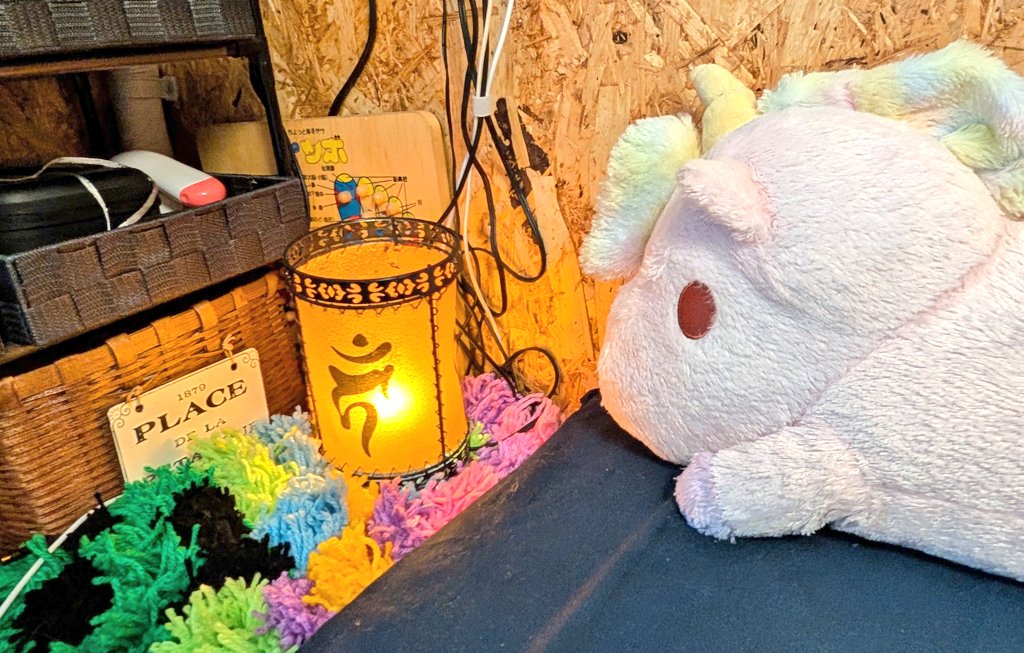 lion_healthcare's tweet image. ポンポンを量産して網に結んでいくと毛糸のラグができるよ
#手芸
#handcraft