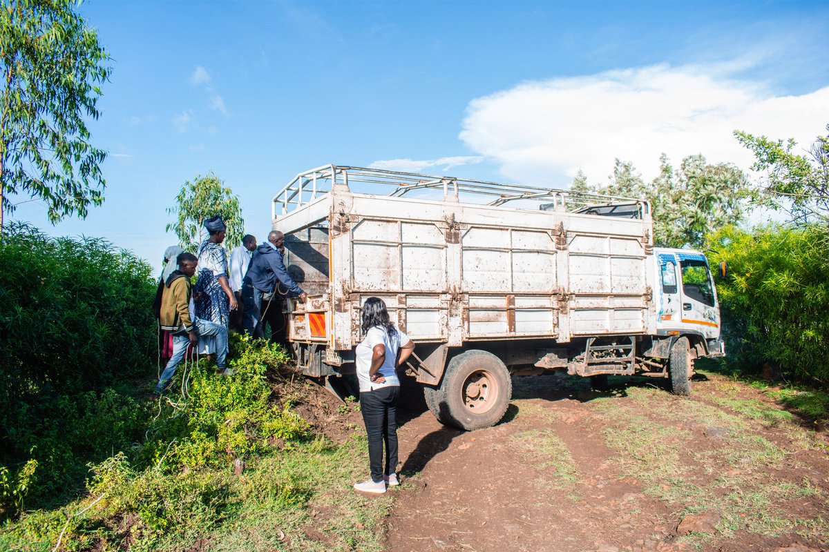 STIPA KENYA (@stipakeofficial) on Twitter photo The donkeys have arrived safely!
We’re happy to share that 24 donkeys have found new homes with three amazing groups; Nyabera, Marako, and Kamara Self Help Groups in Rarieda sub county, Siaya County.
Read More 👉linkedin.com/posts/support-…
<a href="/KspcaK/">KSPCA KENYA</a> <a href="/TheBrookeEA/">Brooke East Africa</a> <a href="/TheBrooke/">Brooke 🐴🧡</a> The donkeys have arrived safely!
We’re happy to share that 24 donkeys have found new homes with three amazing groups; Nyabera, Marako, and Kamara Self Help Groups in Rarieda sub county, Siaya County.
Read More 👉linkedin.com/posts/support-…
<a href="/KspcaK/">KSPCA KENYA</a> <a href="/TheBrookeEA/">Brooke East Africa</a> <a href="/TheBrooke/">Brooke 🐴🧡</a>
