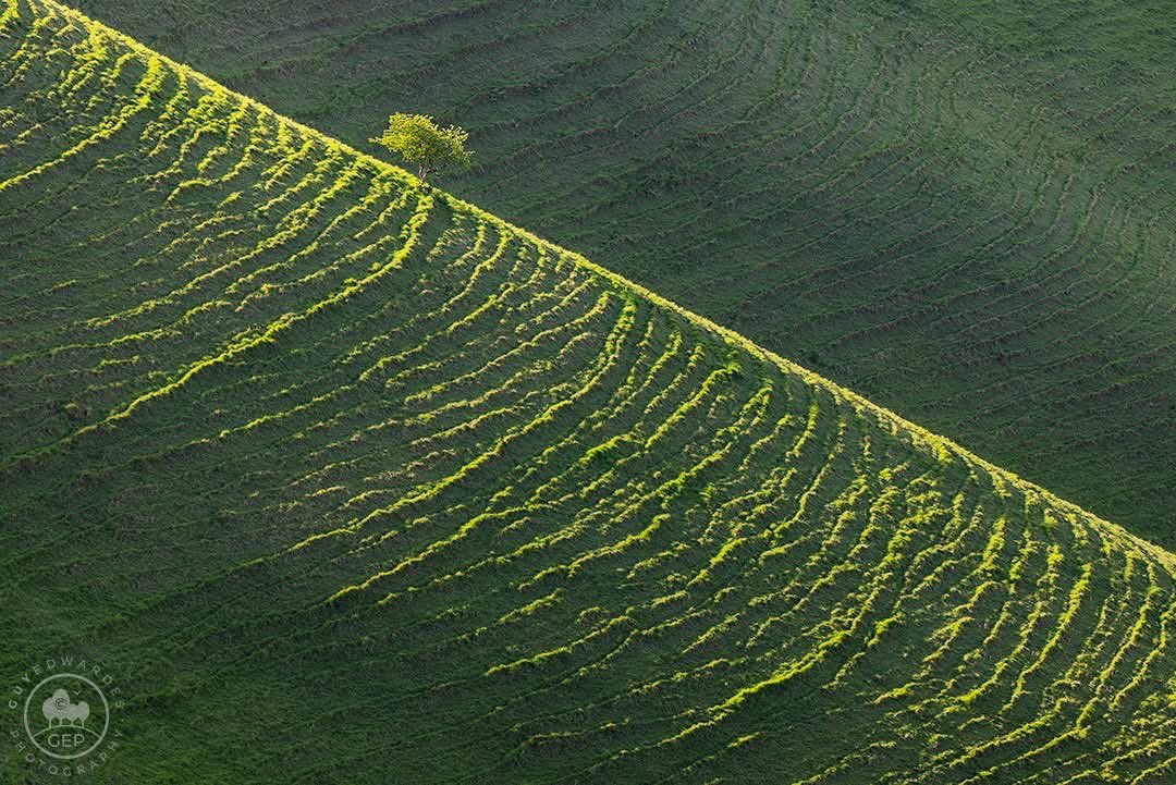 Guy Edwardes tweet media