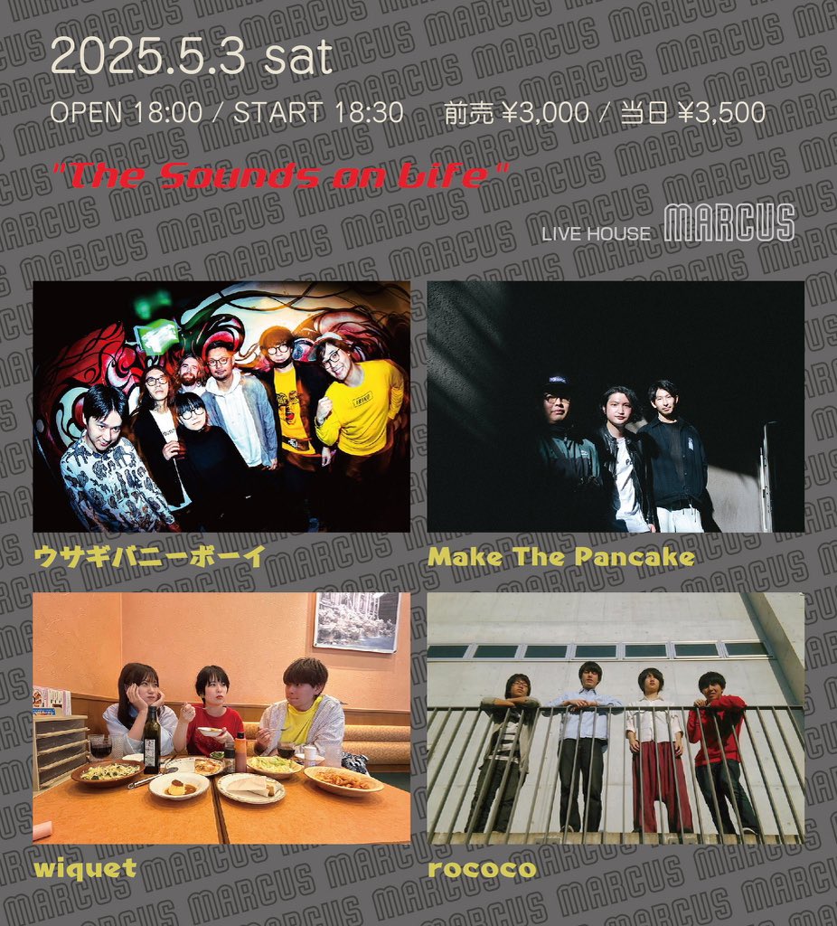 ohashi_bb's tweet photo. マーカスでウサギのライブです。お近くの方ぜひー https://t.co/QZ6HJsbp1k