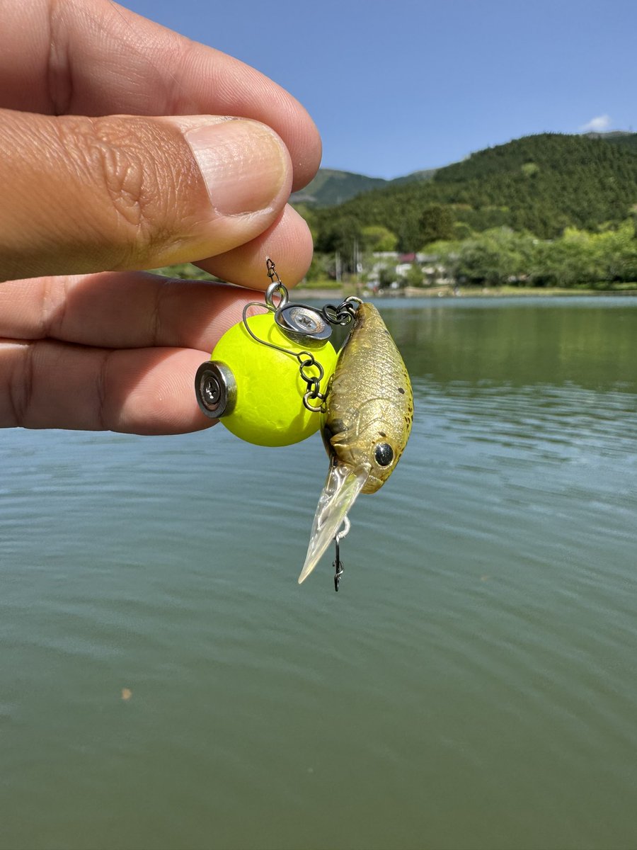 東山湖へ🎣 朝一はスプーン、日が昇ってからはクランクやボトムで釣れ