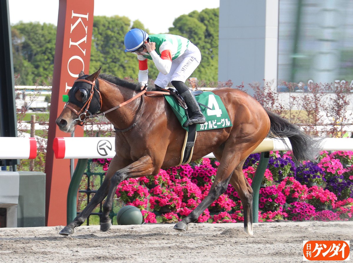 【競馬】 吉村誠之助騎手 直筆サイン カナルビーグル 50枚限定 競馬】 吉村誠之助騎手 直筆サイン カナルビーグル 50枚限定 【公式通販】