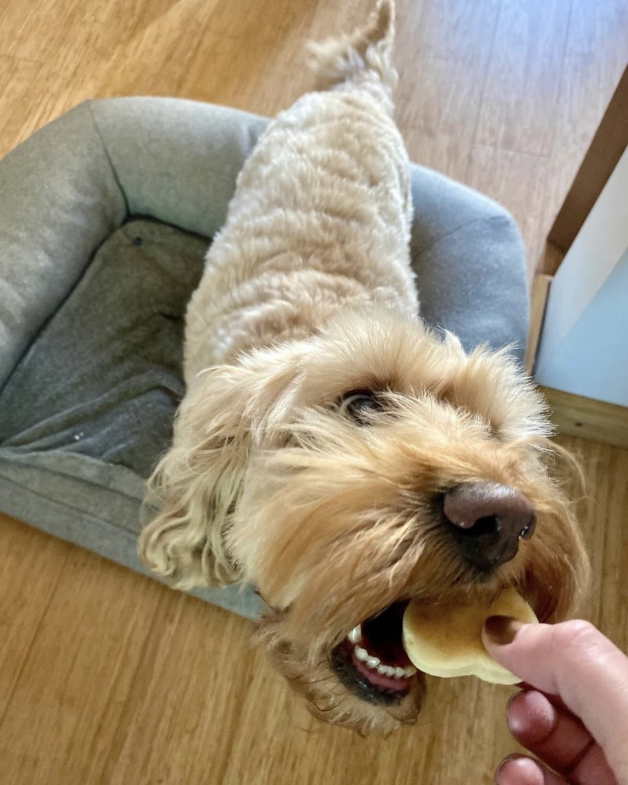 Have a fantastic bank holiday!

If you’re out for a dog walk this weekend, why not treat them to a Fabulous Woofcake! ☀️