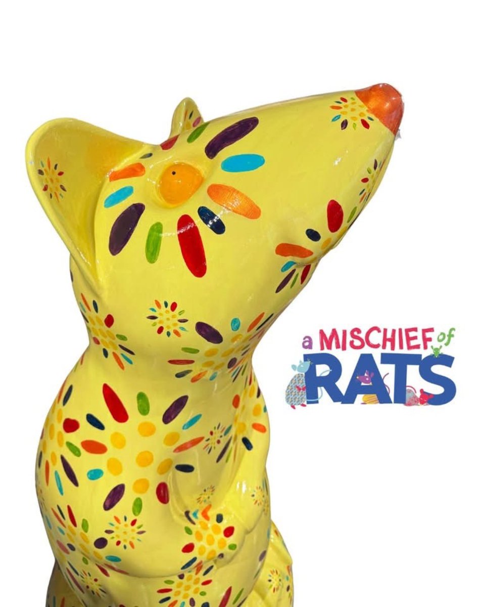 A brand new public art trail, A Mischief of Rats. has launched across East Yorkshire! 

Discover 45 larger-than-life rat sculptures, each transformed by artists into vibrant, eye-catching works of art. The trail runs from 3 May to 31 August 2025. loom.ly/KRfDGYc
