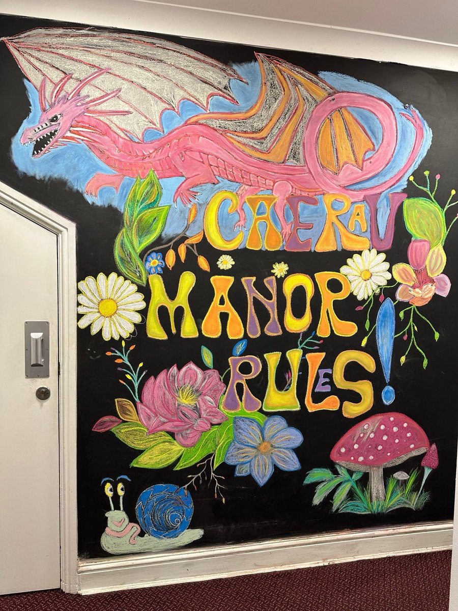 The team at Caerau Manor have finished working on their latest mural to celebrate the changing seasons, and this time they decided to include some Welsh spirit with this vibrant dragon!

#MentalHealth #SocialCare