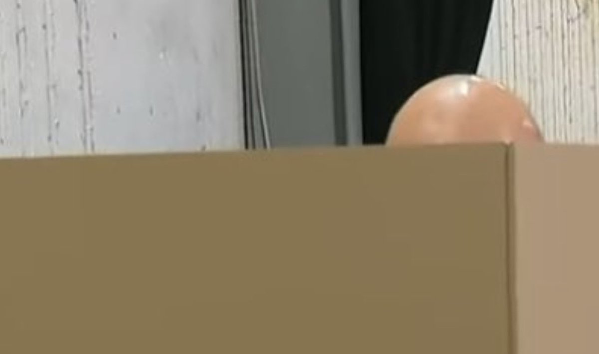 Peter Dutton voting or the last egg in the carton it’s impossible to say