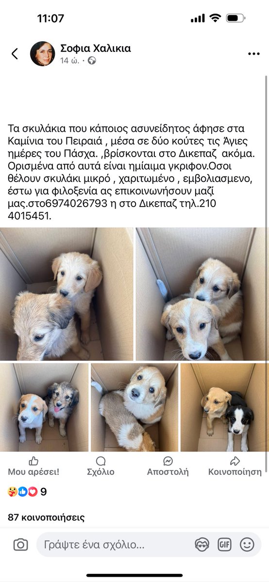 Βρίσκονται Δικεπαζ! Τα εγκατέλειψαν το Πασχα! Κάποιος να σώσει υιοθετώντας έστω κ ένα;