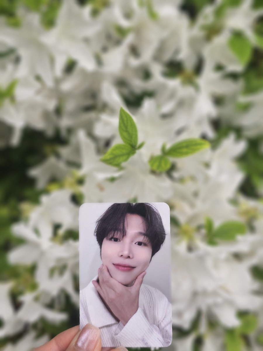 helloireah's tweet photo. 집 앞에 잔뜩 핀 꽃이 갑자기 특별해 보이는 순간🌸 https://t.co/fKrQWGiki8