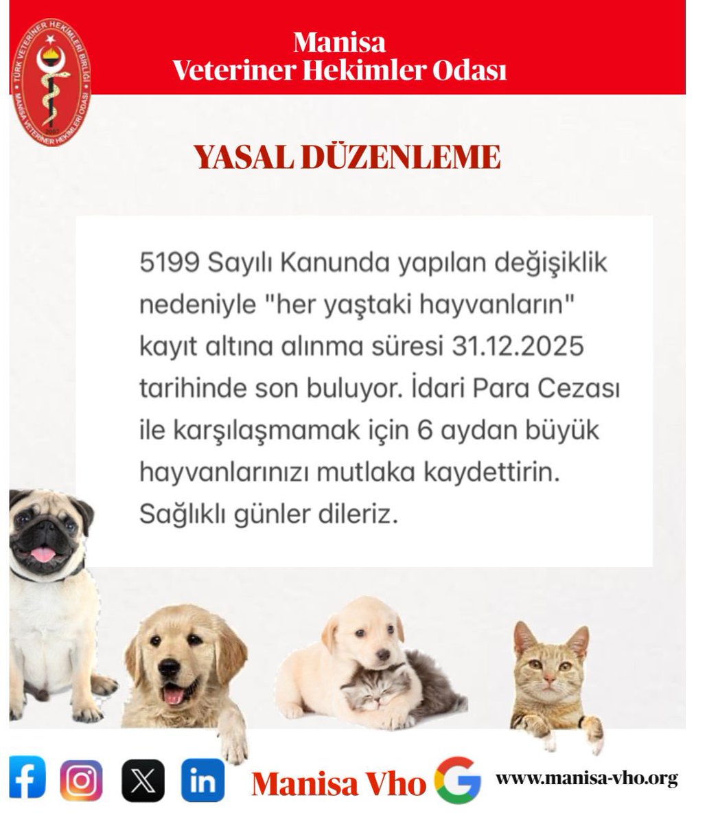 6 aylıktan büyük kedi ve köpeklerin kimliklendirilmesi için belirtilen süre 31.12.2025 tarihine kadar uzatılmıştır. Hayvanın sağlığı için herhangi bir zararı bulunmayan mikroçipi uygulatmak yasal bir zorunluk olup, detaylı bilgi ve uygulama için Veteriner Hekiminize danışınız.