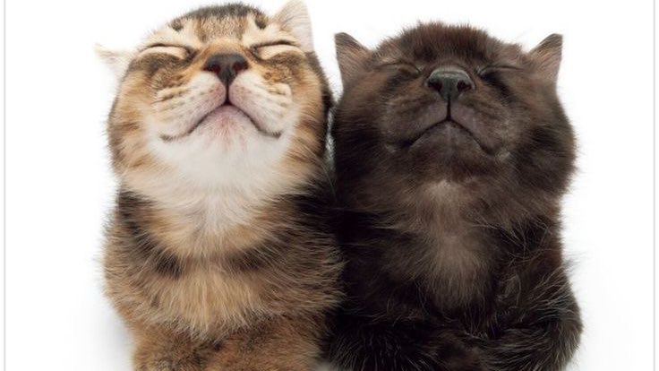 wayjks's tweet image. 