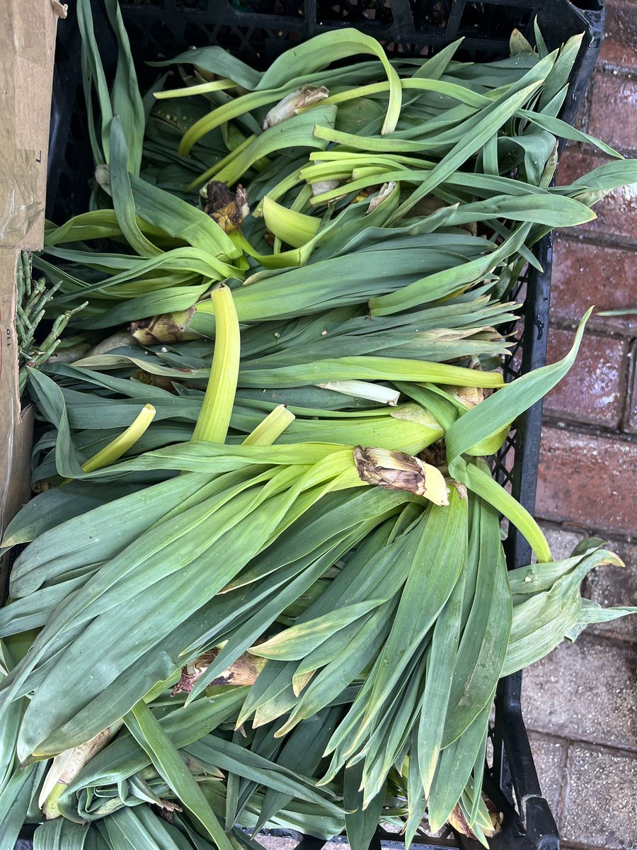 Bugünün sorusu☺️
Bu nedir?