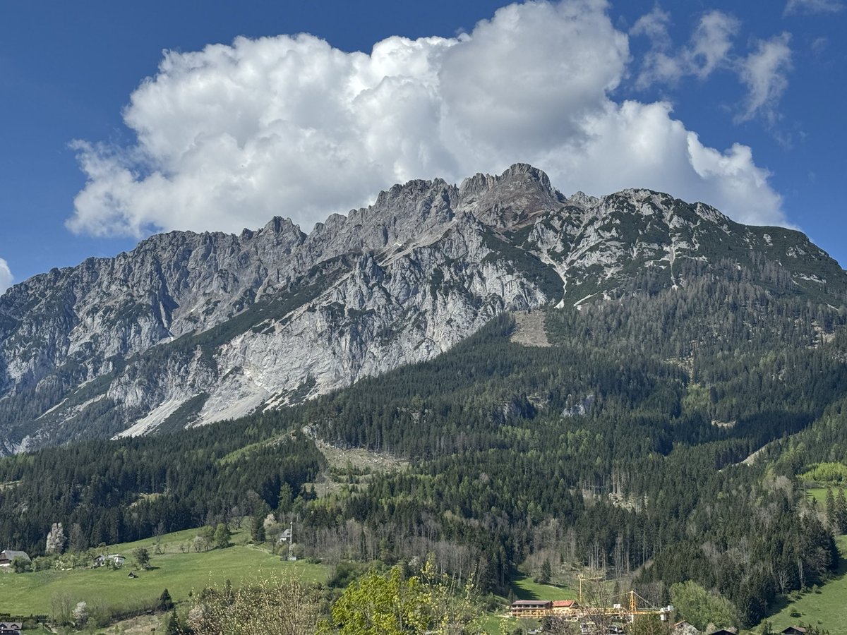 A kloans Lebenszeichn aus de Berg. 🤗

#GschmeidigsWochnendGwünscht