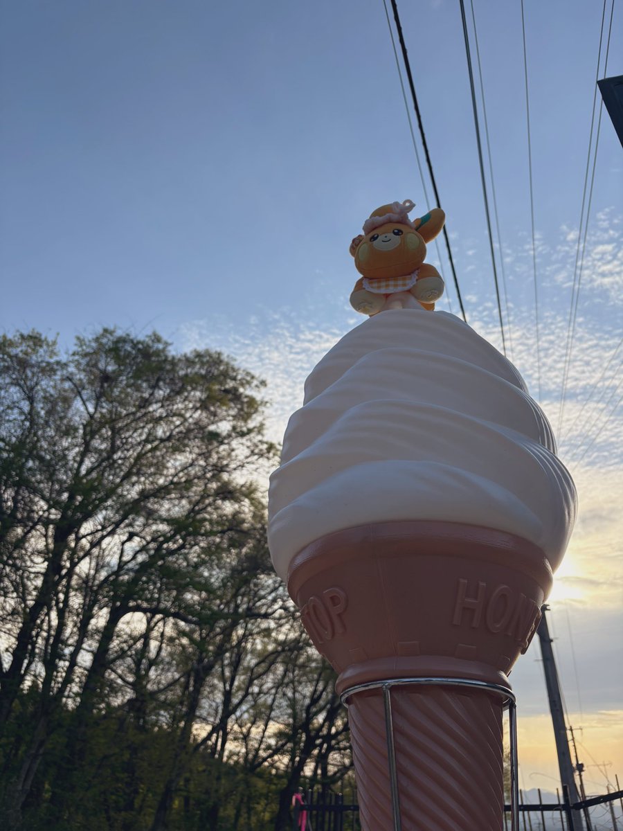 pamoonmoti's tweet image. 🍦