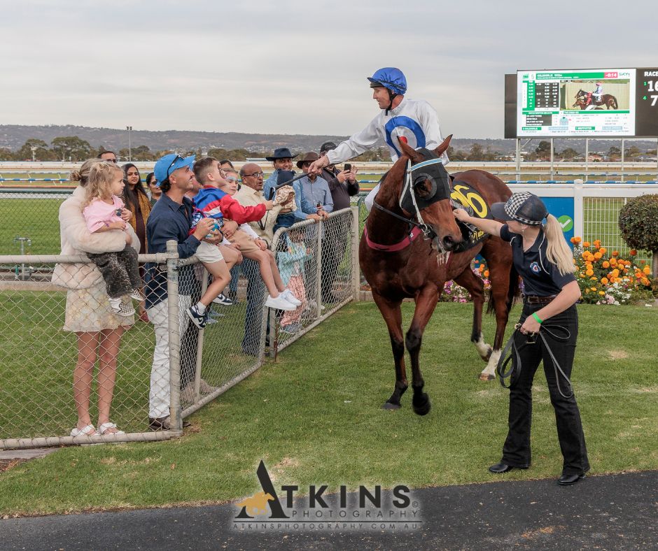 Terry Hann (@terry_hann) on Twitter photo David Jolly won the Grand Syndicates Festival State Sprint Series Final at Morphettville with Justin Potter riding Declared.
Photos ~ AtkinsPhotography.com.au
Pre-race photos ~ AtkinsRacing.com.au
<a href="/RacingSA/">Racing SA</a> <a href="/SAJockeyClub/">Morphettville Racecourse</a> <a href="/GrandSyndicates/">Grand Syndicates</a> <a href="/DJollyRacing/">David Jolly Racing</a> David Jolly won the Grand Syndicates Festival State Sprint Series Final at Morphettville with Justin Potter riding Declared.
Photos ~ AtkinsPhotography.com.au
Pre-race photos ~ AtkinsRacing.com.au
<a href="/RacingSA/">Racing SA</a> <a href="/SAJockeyClub/">Morphettville Racecourse</a> <a href="/GrandSyndicates/">Grand Syndicates</a> <a href="/DJollyRacing/">David Jolly Racing</a>