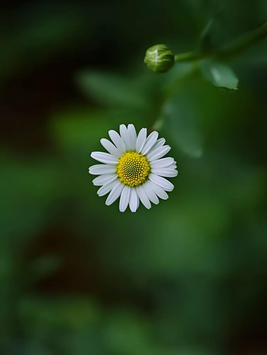 GavrilasLia's tweet photo. Good morning everyone 🌾🌀
** Our highest goal is to connect our soul with nature**
#Art 🌾
💚🌾🌾🌾💚
#WeekendHappy
#SaturdayandWork🥰 https://t.co/4VOP5kwBCA