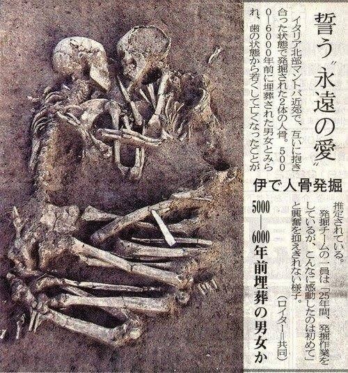 早くこれになりたい