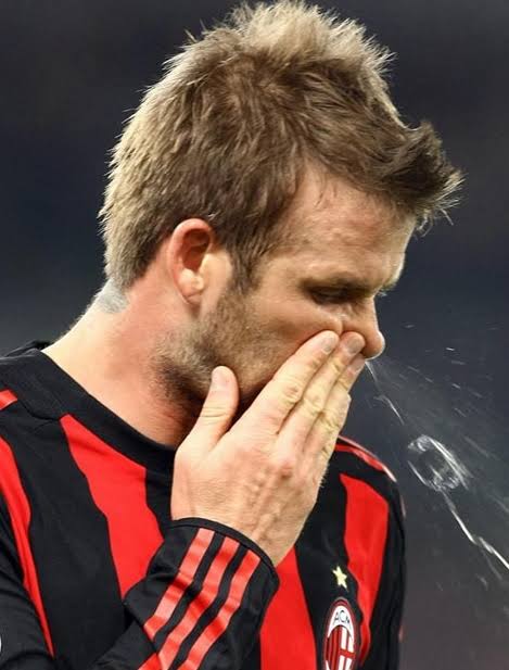 yo <a href="/beeponboop/">beep</a>, make me a token called bullnose with ticker BLOW right meow  ฅ≽(ㅇㅅㅇ)≼
bull run coming nose high
can blow everything