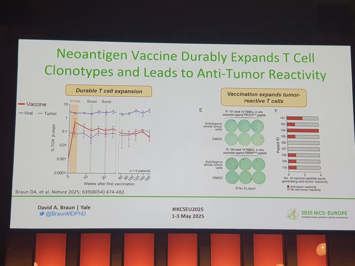 Dra. María Natalia Gandur Quiroga (@nataliagandur) on Twitter photo 🌟Such a smart and forward-looking presentation by <a href="/BraunMDPhD/">David Braun</a> on RCC immunobiology and neoantigen strategies at #IKCSEU25!
<a href="/KidneyCancer/">Kidney Cancer</a> <a href="/OncoAlert/">OncoAlert</a>
🟠 Understanding RCC immune evasion remains a key challenge
🟠 ZNF683+ SLAMF7+ exhausted CD8+ T cells linked to anti-PD-1 🌟Such a smart and forward-looking presentation by <a href="/BraunMDPhD/">David Braun</a> on RCC immunobiology and neoantigen strategies at #IKCSEU25!
<a href="/KidneyCancer/">Kidney Cancer</a> <a href="/OncoAlert/">OncoAlert</a>
🟠 Understanding RCC immune evasion remains a key challenge
🟠 ZNF683+ SLAMF7+ exhausted CD8+ T cells linked to anti-PD-1