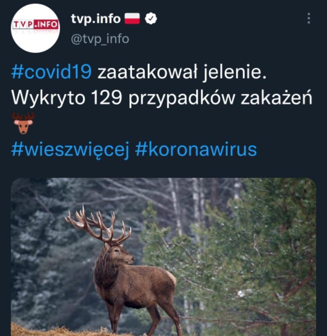 GqAyc3cW0AAeczu