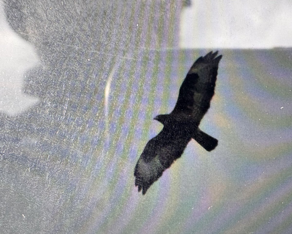 100! #TornienTaisto #Kivinokka