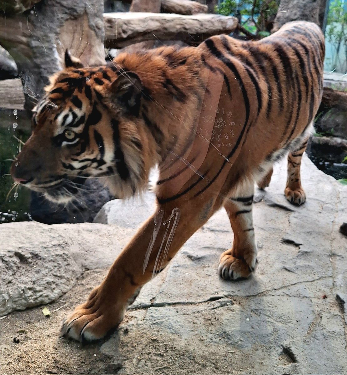 神戸どうぶつ王国