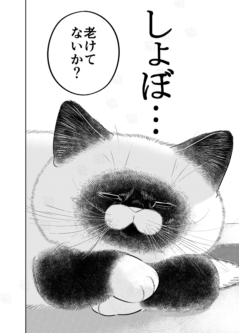 (1/3) 