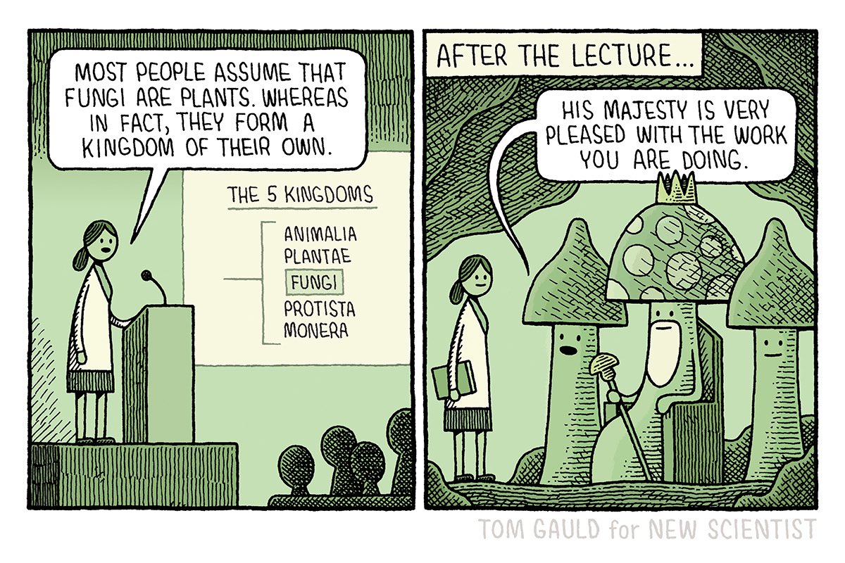 A recent <a href="/newscientist/">New Scientist</a> cartoon 🍄 #fungi