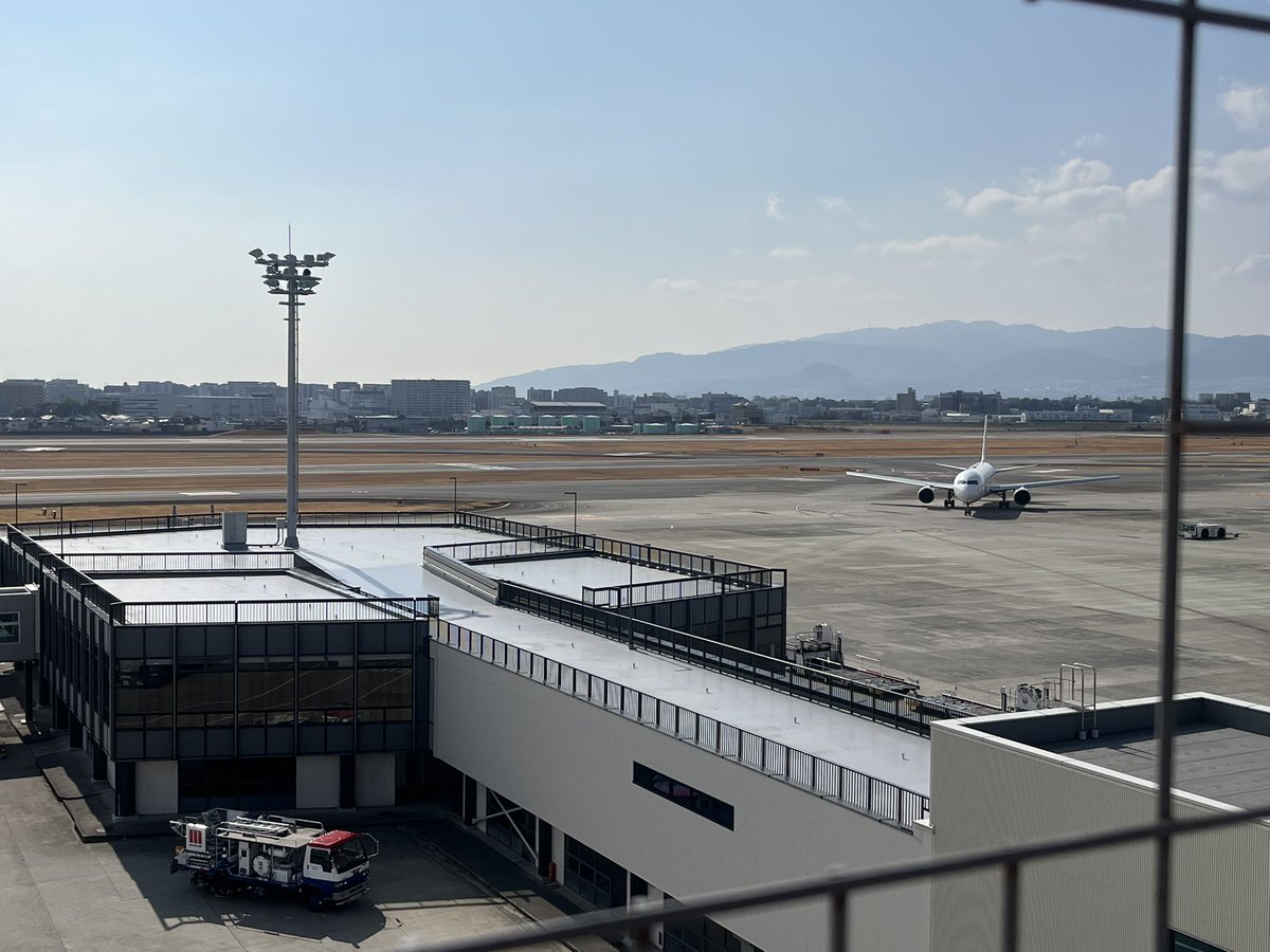 flyawaytothesky's tweet photo. ANAのポケモンシリーズいいですよね✈️ https://t.co/wCAiNgJzE9