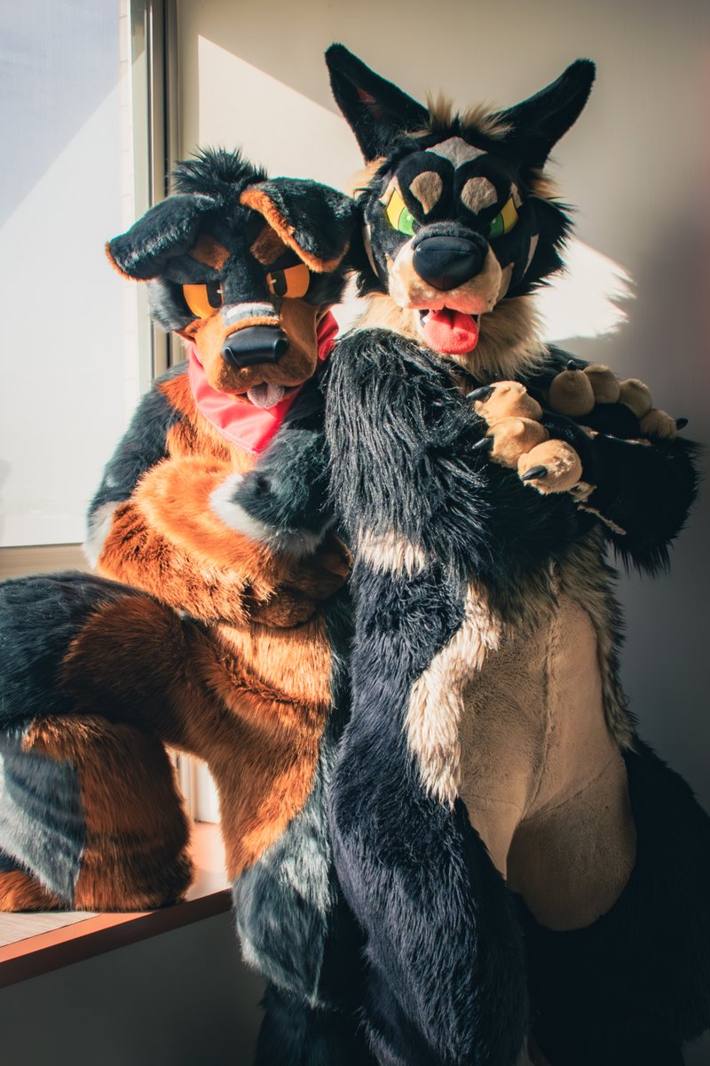 Two ferocious dogs! 🐾😈