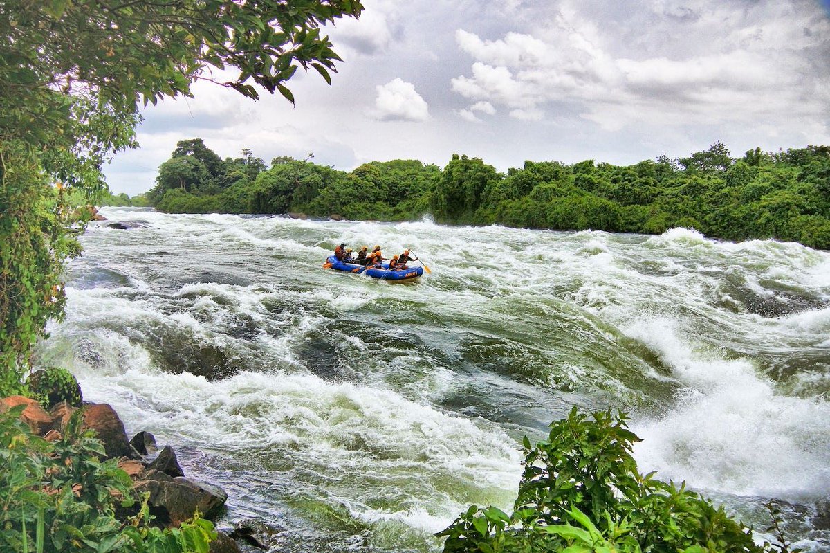 HenjoSafaris's tweet image. 🌊 Ready for a wild ride? Raft the White Nile in Jinja, Uganda! 🚣‍♂️ Tackle thrilling rapids and soak in epic views. No experience needed, fun for all! 

Contact: info@henjoafricansafaris.com to book your adventure. 

#WhiteNileRafting #UgandaVibes