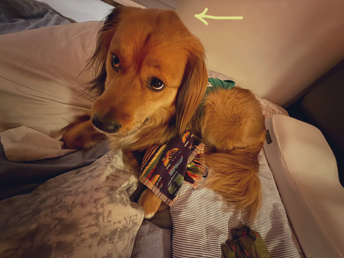 뜍띰딜받는 짱서기..쬬부분 보따이오이가 좋아하는 부분