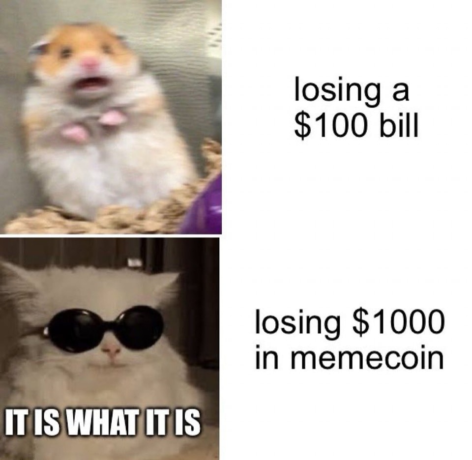 xznode's tweet image. One is panic, the other is... well, 'It is what it is.

#CryptoLosses #Memecoins #ItIsWhatItIs #CryptoLife