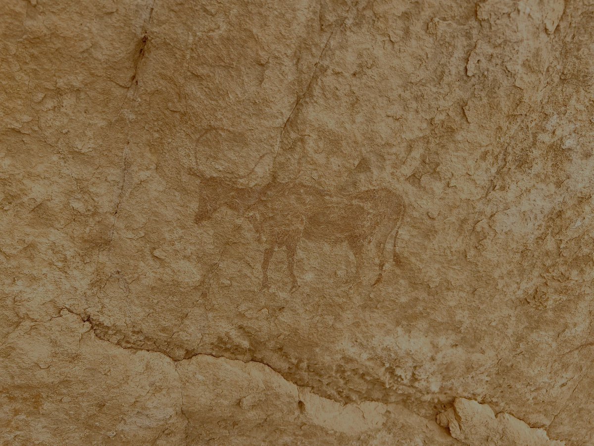 José Ignacio Madrazo (@joseimadrazob) on Twitter photo 2/2 En el Sahara argelino 🇩🇿 se encuentra una de las colecciones más importantes de pinturas rupestres en el mundo. Es una región protegida por la <a href="/UNESCO/">UNESCO 🏛️ #Education #Sciences #Culture 🇺🇳</a>. 2/2 En el Sahara argelino 🇩🇿 se encuentra una de las colecciones más importantes de pinturas rupestres en el mundo. Es una región protegida por la <a href="/UNESCO/">UNESCO 🏛️ #Education #Sciences #Culture 🇺🇳</a>.