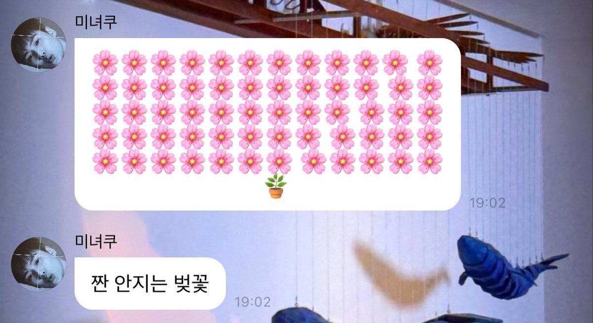 안지는 벚꽃 🥹🥹