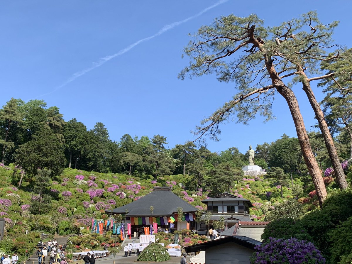 may_carat's tweet photo. 色とりどりのつつじ

#塩船観音寺
#つつじ祭り
#霞丘陵ハイキング
#七国山 https://t.co/Adpnc83o8x