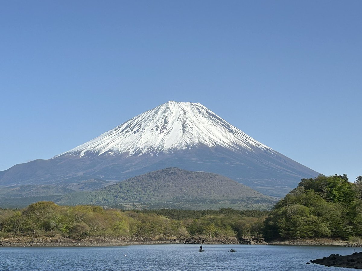 jishikaw8's tweet image. 家族セルヴィスと親KoKo。3ヶ月ぶりにエイトも本調子！