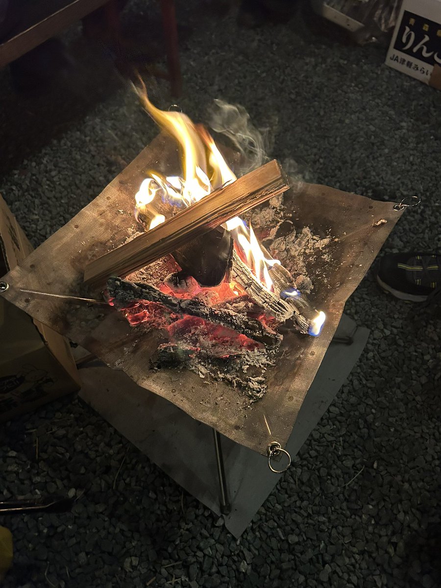 jishikaw8's tweet image. 家族セルヴィスと親KoKo。3ヶ月ぶりにエイトも本調子！