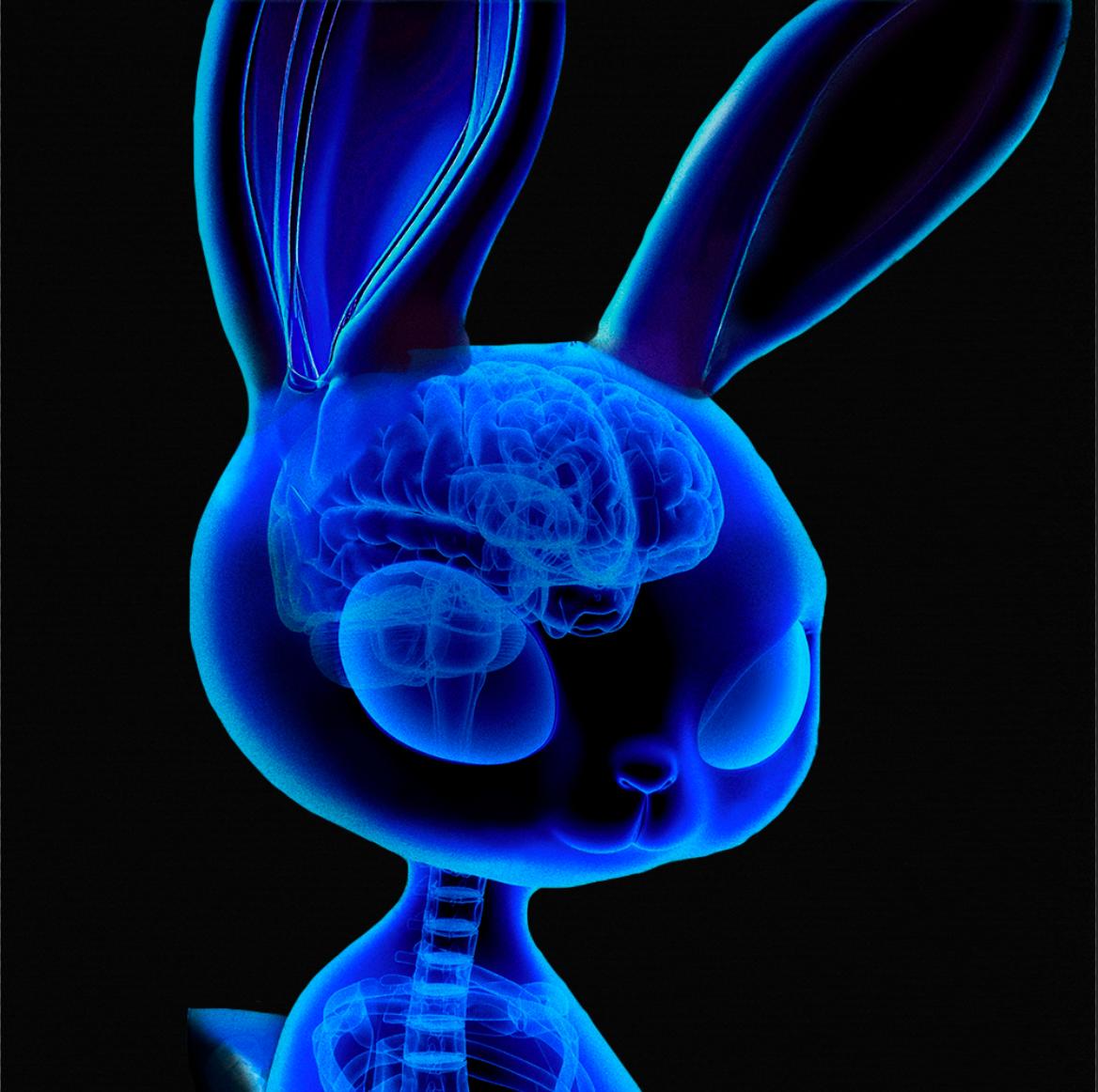 Ever seen a Bad Bunnz under X-ray?

First alpha for a successful NFT collection is: have an artist who cooks 🤝