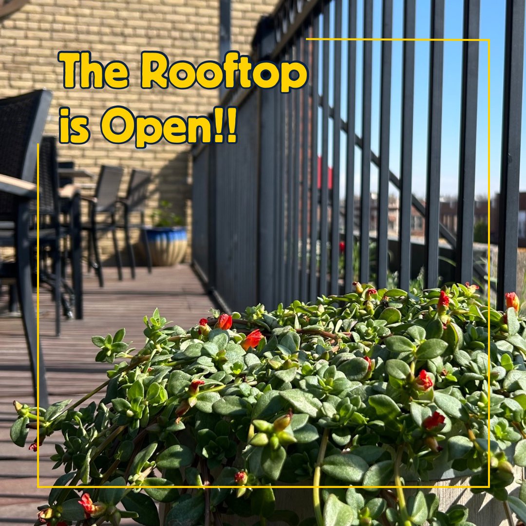 Elevate your Saturday—the rooftop is OPEN today.