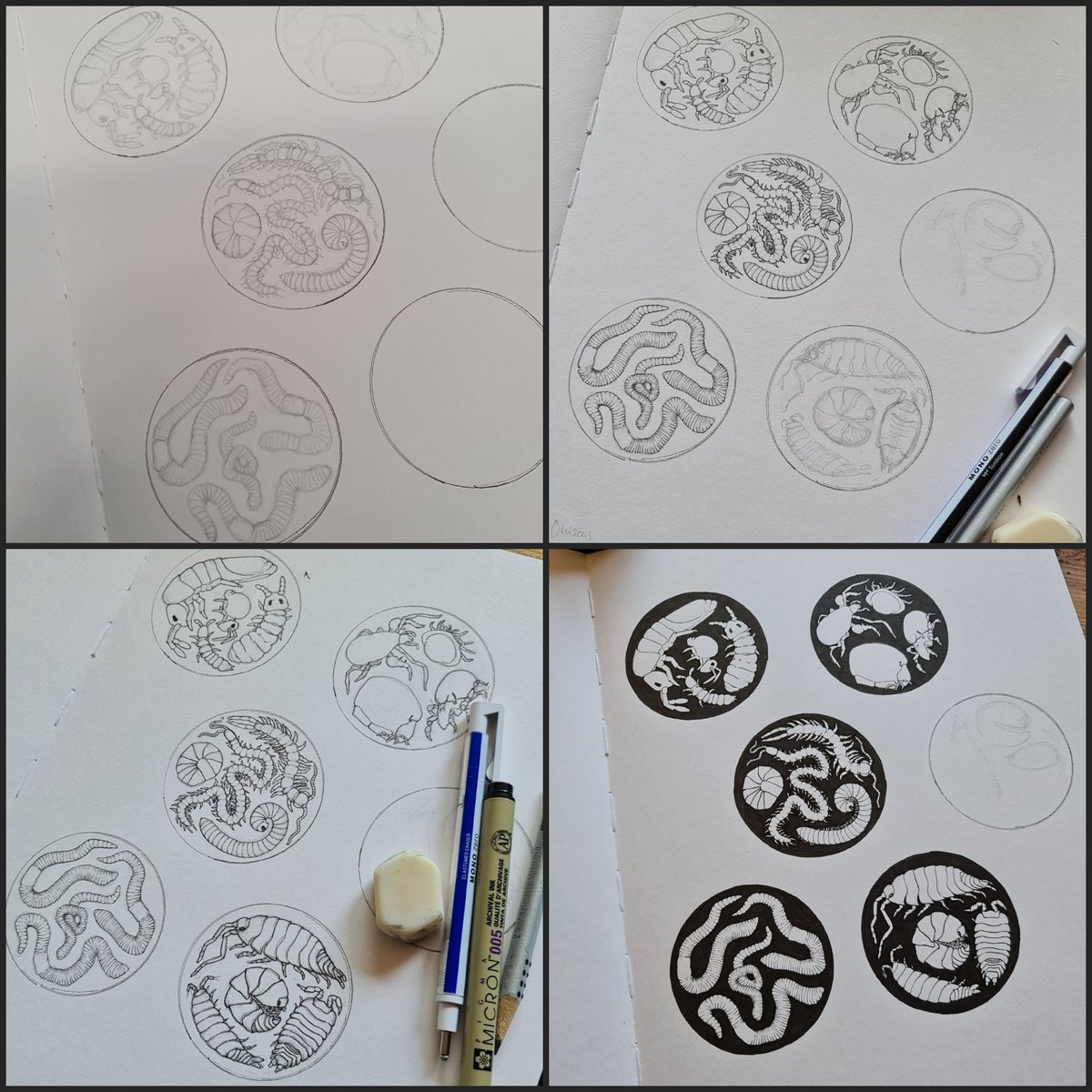 Svenja Meyer tweet media