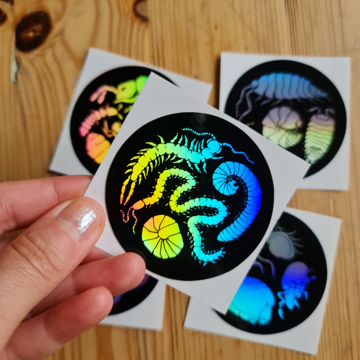 Svenja Meyer tweet media