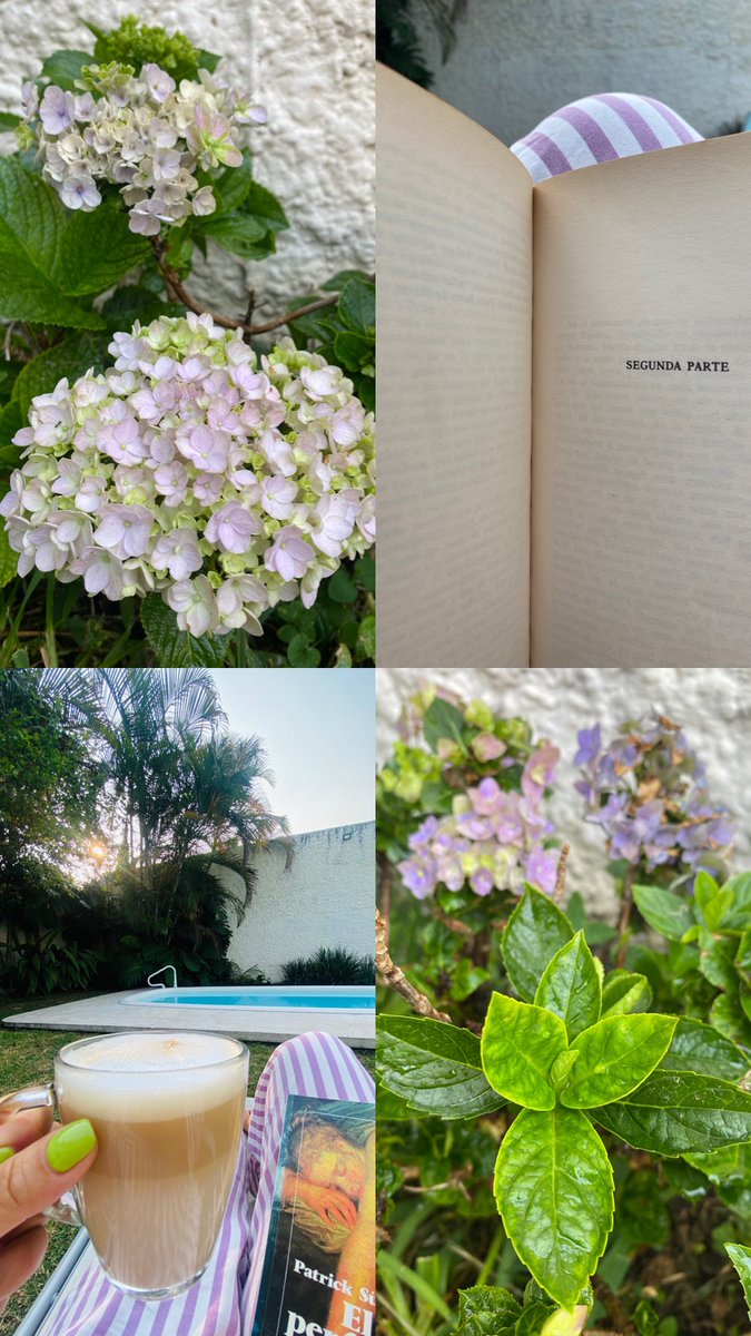 El olor a café en la mañana, regar las plantas &amp; leer un libro.