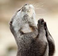 <a href="/ramonos/"></a> could be one $holy play fam 🙏

HNyaHRzcrWe3zpj1Vuwcd6cmNP2zZkiFZZnJdv88pump