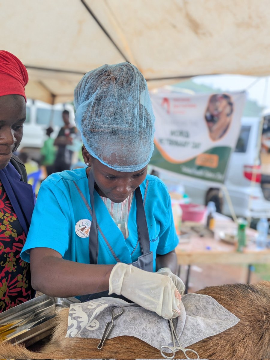 #UVACELEBRATES 
Happy Birthday, Dr. Clare Nassanga 🤗 🎉
As you celebrate another year of life, we at Uganda Veterinary Association (UVA) are excited to see the impact you'll continue to make in the world of pet medicine. Your passion for caring for dogs and cats is truly