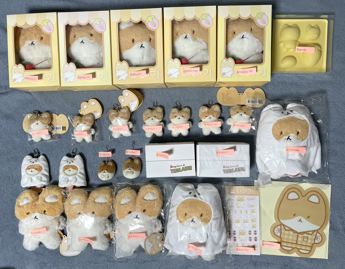 asdpcy's tweet photo. แจ้งอัพเดทน้องทอแรกีนะคะ
น้องทั้งหมดส่วนมากมาถึงบ้านเราแล้วค่ะ แต่เราไม่สามารถจัดส่งรอบแอร์ในสัปดาห์นี้ได้ทัน ดังนั้นจะเป็นรอบแอร์ในสัปดาห์หน้าแทนค่ะ ขอบคุณที่มาอุดหนุนนะคะ🙇🏻♀️
หากลูกค้าท่านใดต้องการรูป/วิดีโอเช็คน้อง สามารถทัก DM มาได้เลยนะคะ
#khunMJupdate https://t.co/6MGGhDEZuK